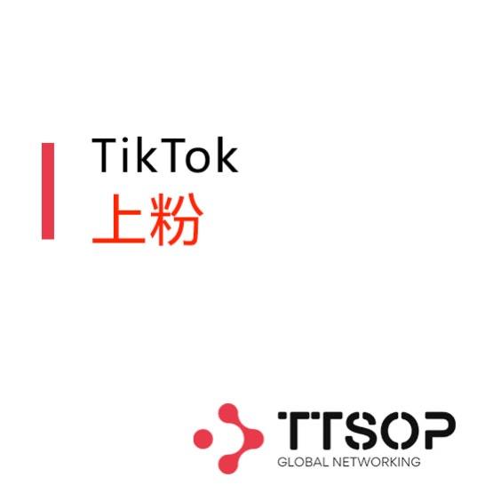 TikTok 上粉（每1000份）