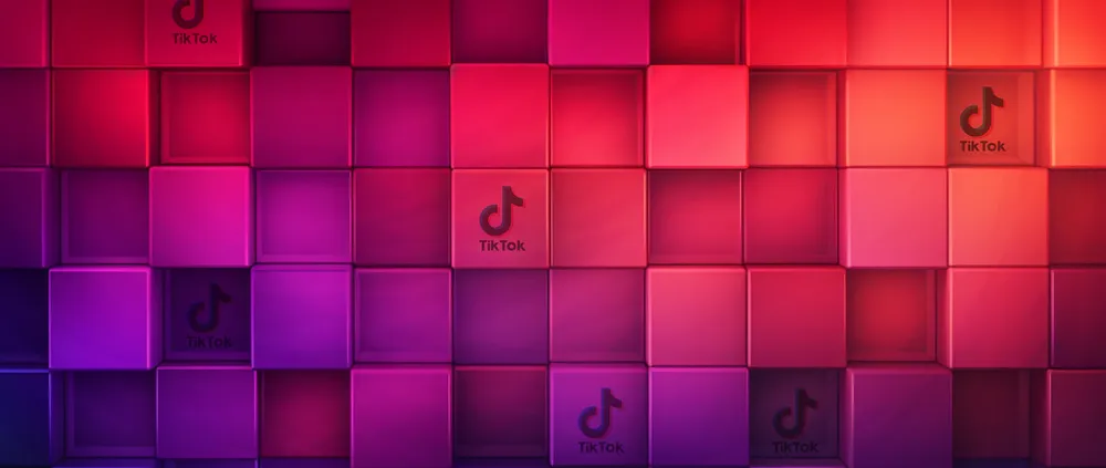 TikTok橱窗号带货实操手册：零货源变现的轻创业模式